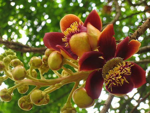 Pasted image 20260321192624.png